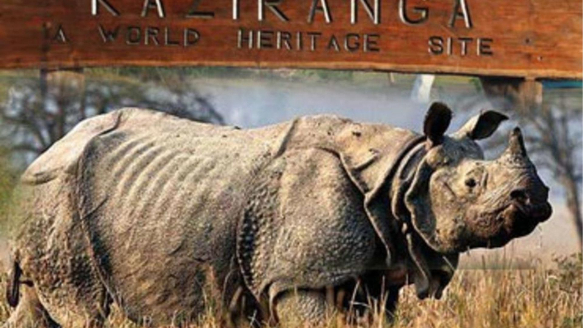 Kaziranga National Park