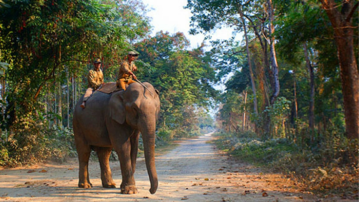 Nameri National Park (Assam)